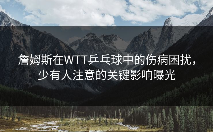 詹姆斯在WTT乒乓球中的伤病困扰,少有人注意的关键影响曝光 詹姆斯在WTT乒乓球中的伤病困扰,少有人注意的关键影响曝光