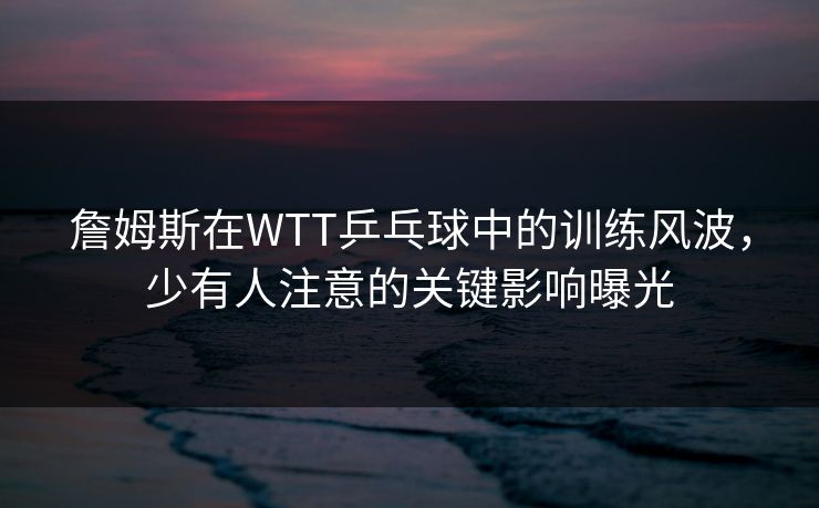 詹姆斯在WTT乒乓球中的训练风波，少有人注意的关键影响曝光
