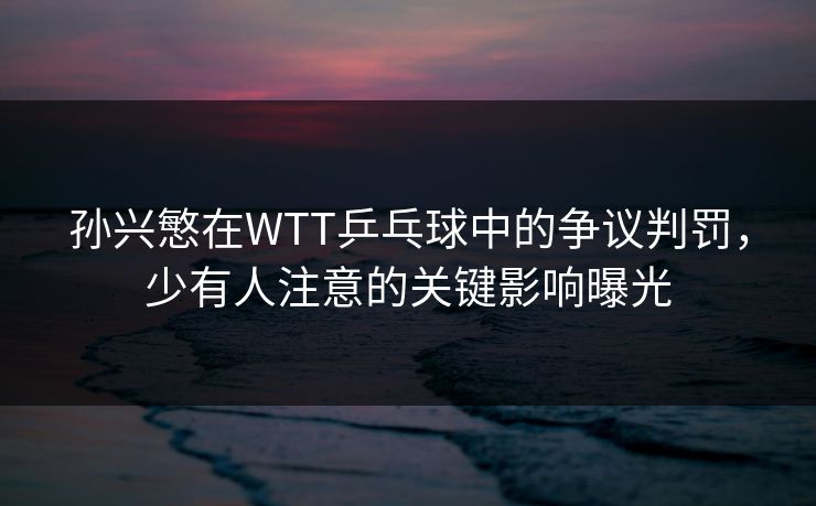 孙兴慜在WTT乒乓球中的争议判罚，少有人注意的关键影响曝光